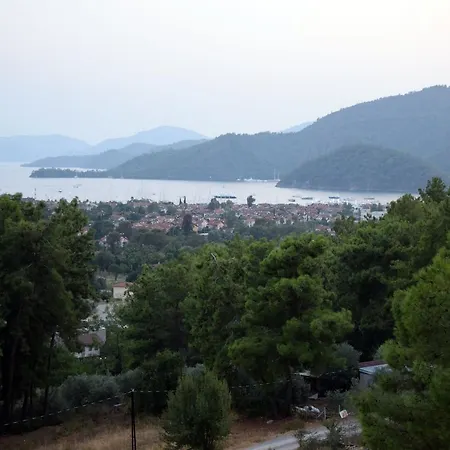 In Forest Aparthotel 3*