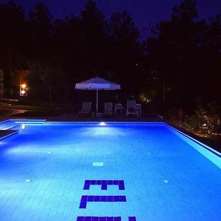 Apart Otel In Forest