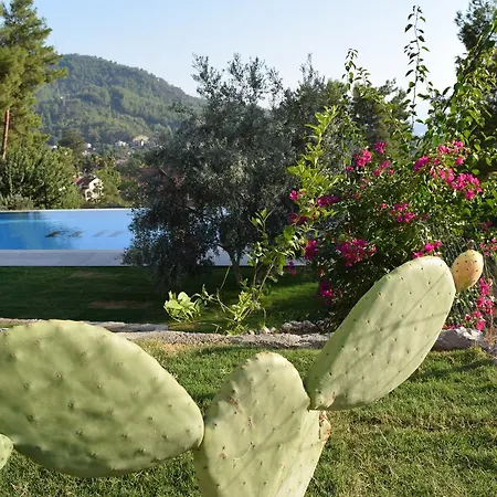 In Forest Aparthotel Gocek (Fethiye)