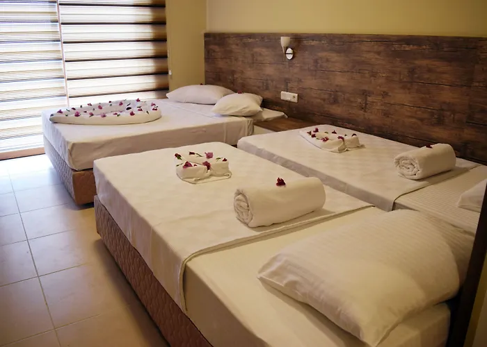 Apart-hotel In Forest